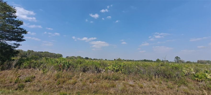 Affordable! High & Dry! Wonderful county setting. Great location in the Viking / Prairie subdivision. Near the Kissimmee Prairie Preserve state park. Perfect for a homesite, mobile home or campsite retreat. Property has been surveyed. Enjoy the serenity and gorgeous sunsets! Call for details.
