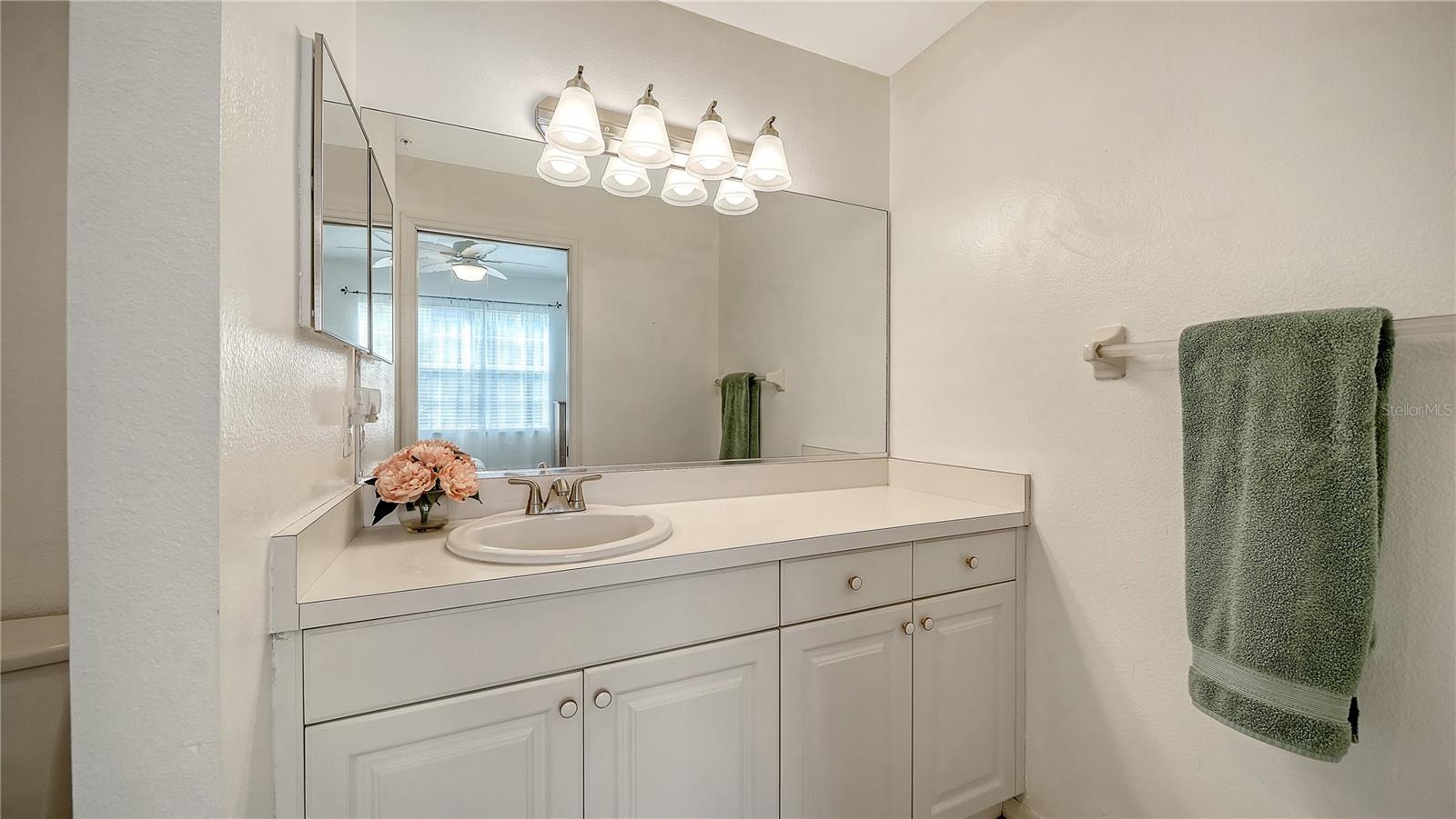 PINESTONE AT PALMER RANCH - Residential