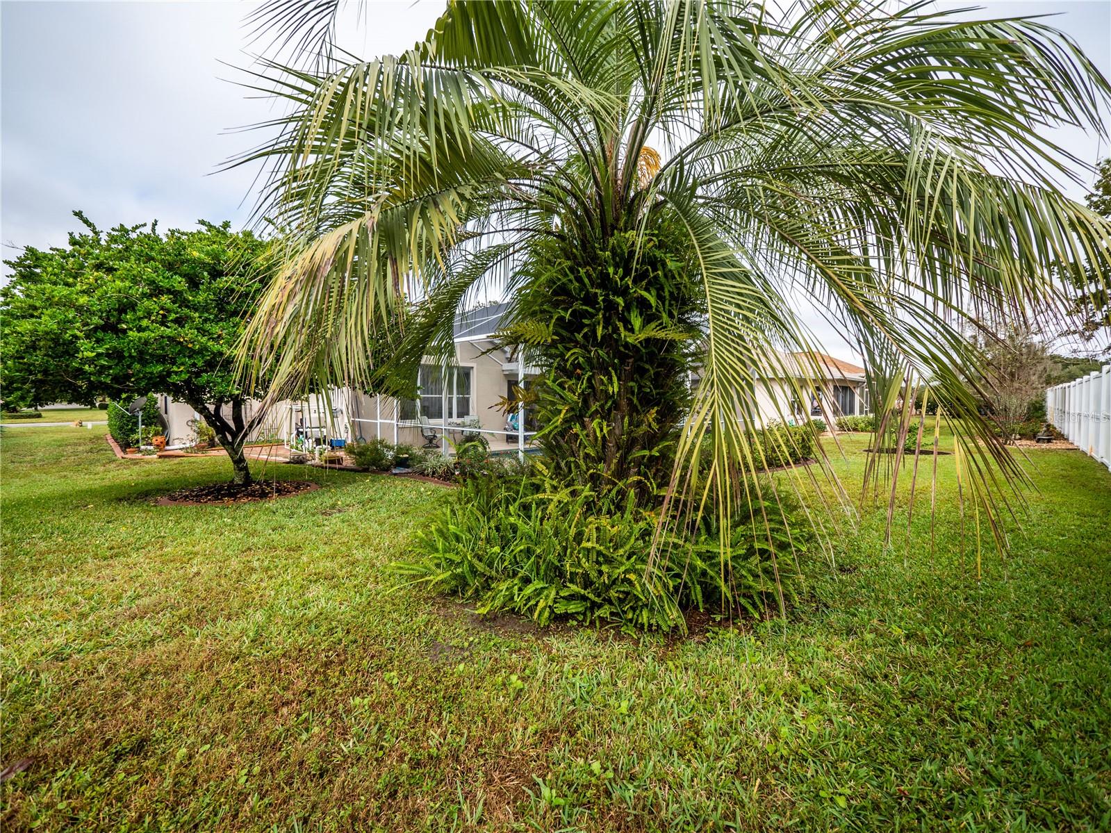 FOUNTAINS/OAK RUN PH I - Residential