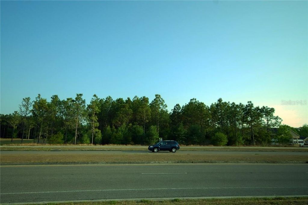 Photo of 30150 Overpass Road, Wesley Chapel, FL 33545 (MLS # T2878573)