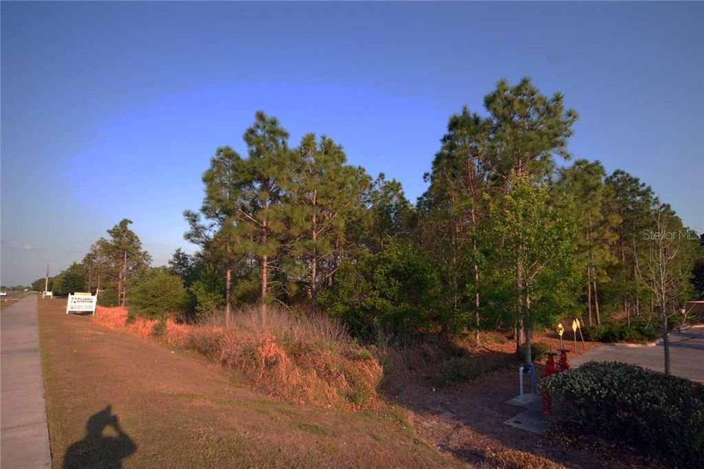 Photo of 30150 Overpass Road, Wesley Chapel, FL 33545 (MLS # T2878573)