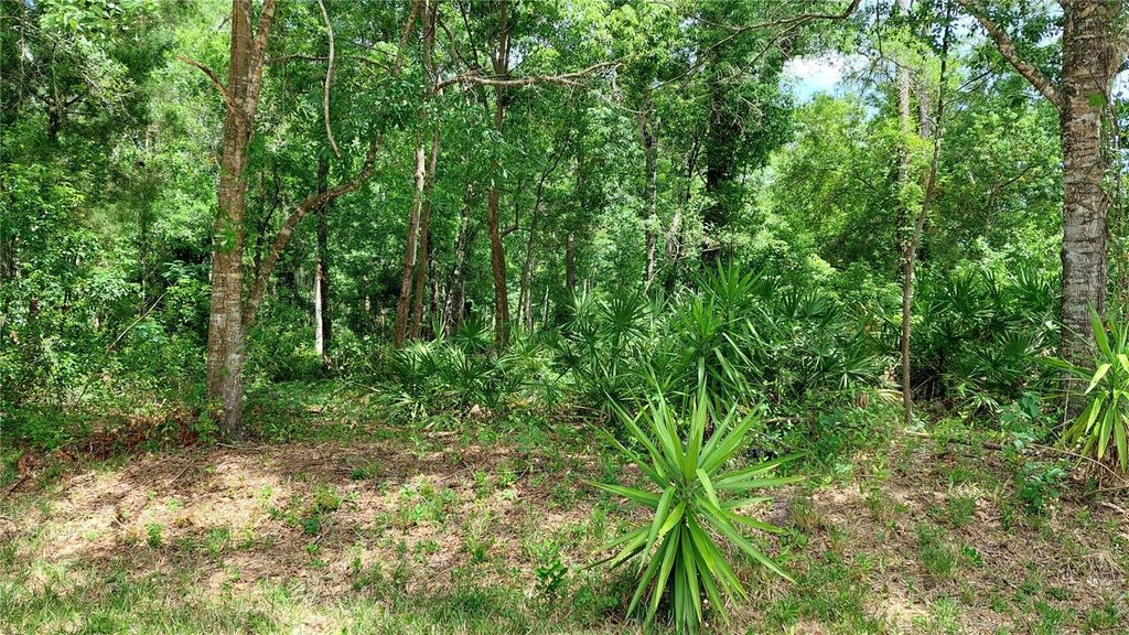 Photo of Davista, New Port Richey, FL 34654 (MLS # TB8499549)