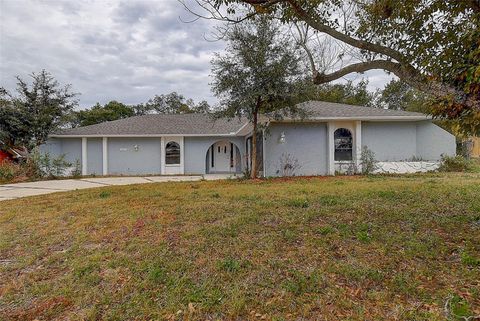 A home in SPRING HILL