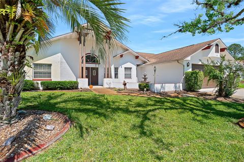 A home in PALM COAST