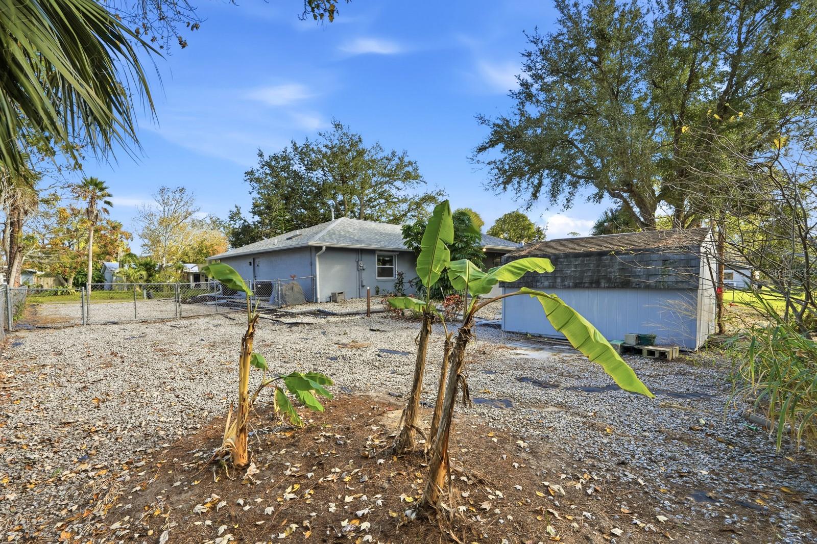 NIELSEN REP TURNBULL SHORES - Residential