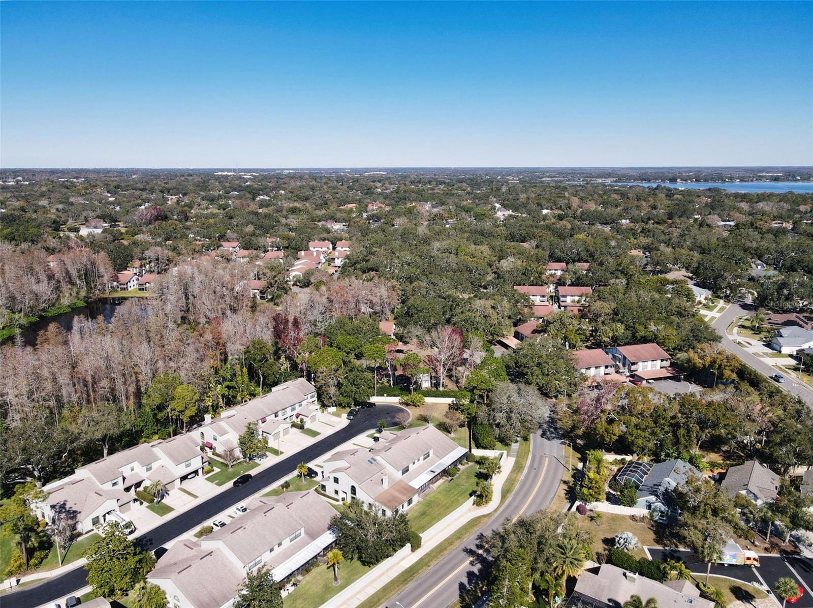 CHEVY CHASE CONDO - Residential