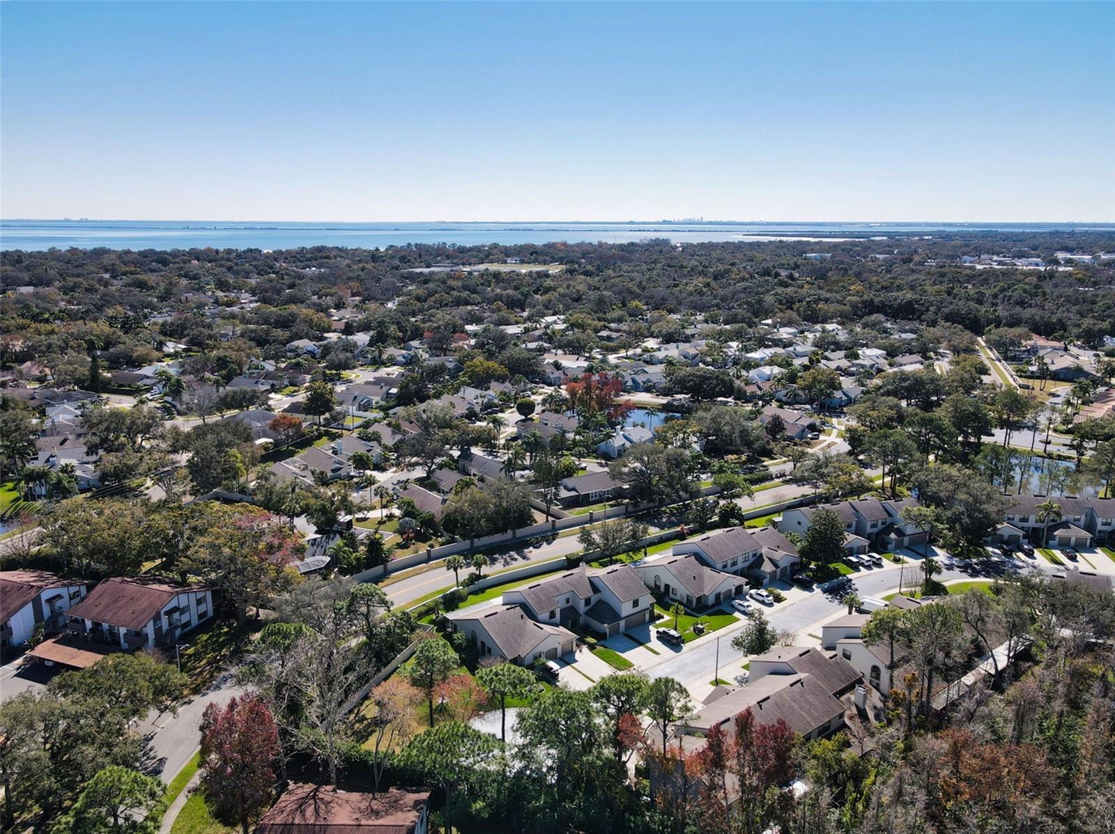 CHEVY CHASE CONDO - Residential