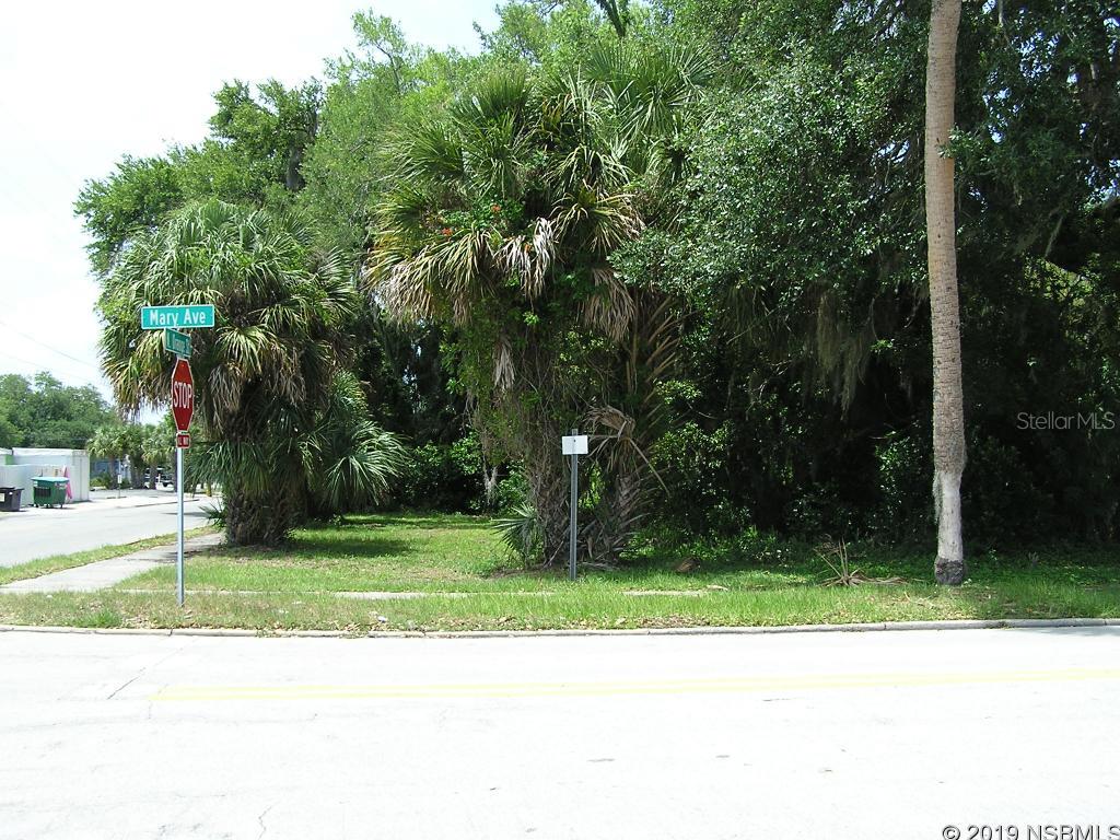 Daughertys New Smyrna - Land