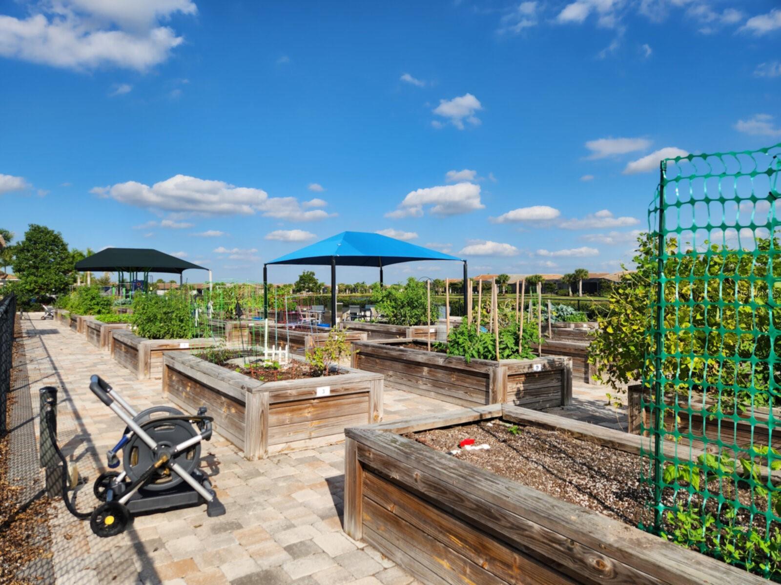 ISLANDWALK/WEST VLGS PH 1C-A - Residential Lease