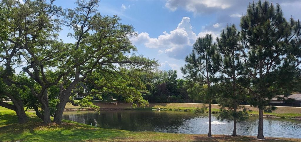 Photo of 2291 Americus Boulevard W #37, Clearwater, FL 33763 (MLS # TB8490682)