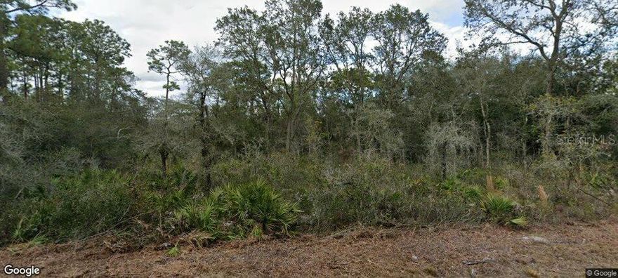 Beautiful Vacant Lot in Ridge Manor Estates – Your Florida Dream Starts Here! Discover an exceptional opportunity to build your custom home or invest in nearly 1.2 acres of land in the quiet, scenic community of Ridge Manor Estates. This spacious wooded lot offers the perfect blend of peaceful rural living with convenient access to everyday amenities. Located in unincorporated Hernando County, this property is zoned for single-family residences only, preserving the integrity and tranquility of the neighborhood. Enjoy the freedom of no HOA and no CDD fees, giving you more flexibility and fewer restrictions as you design your ideal home. Despite its serene, natural setting surrounded by mature trees and Florida wildlife, the location is highly accessible—just minutes from I-75 (approximately 6 minutes), SR-50, and US-301, with easy connections to Brooksville and Dade City, and within reach of the greater Tampa–Orlando corridor. Outdoor enthusiasts will appreciate nearby opportunities for camping, fishing, biking, horseback riding, and nature walks, all set against Florida’s beautiful natural backdrop. This area continues to attract attention for its long-term investment potential, as demand grows for peaceful residential land away from urban congestion. Whether you're planning to build now or hold for the future, this property offers both lifestyle and value. Don’t miss your chance to own a slice of Florida countryside—space, privacy, and opportunity all in one. This desirable oversized lot won’t last long.