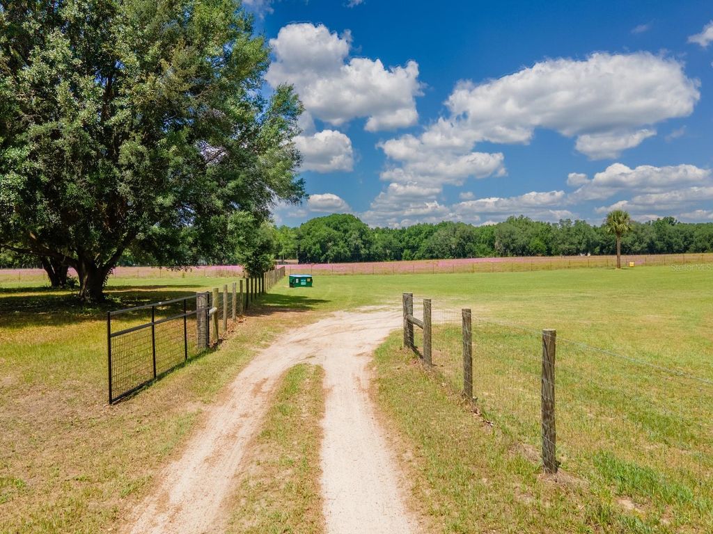 Photo of 4381 NE 105th Place, Anthony, FL 32617 (MLS # OM724638)