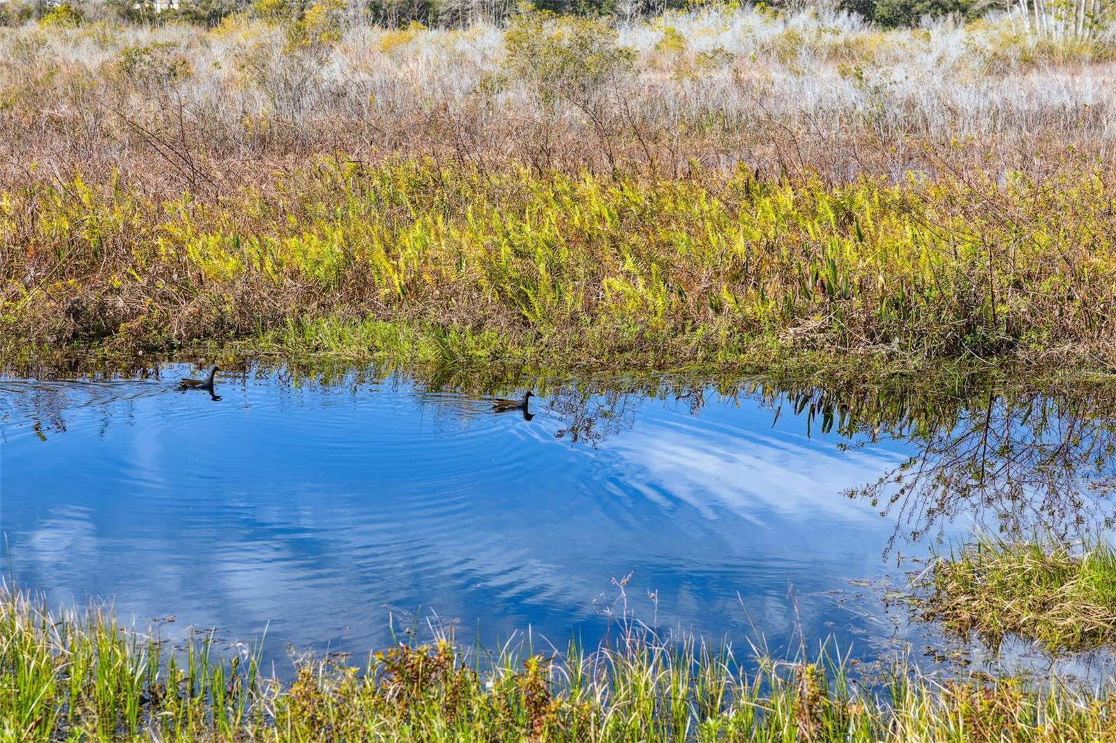WATERSIDE POINTE - Residential