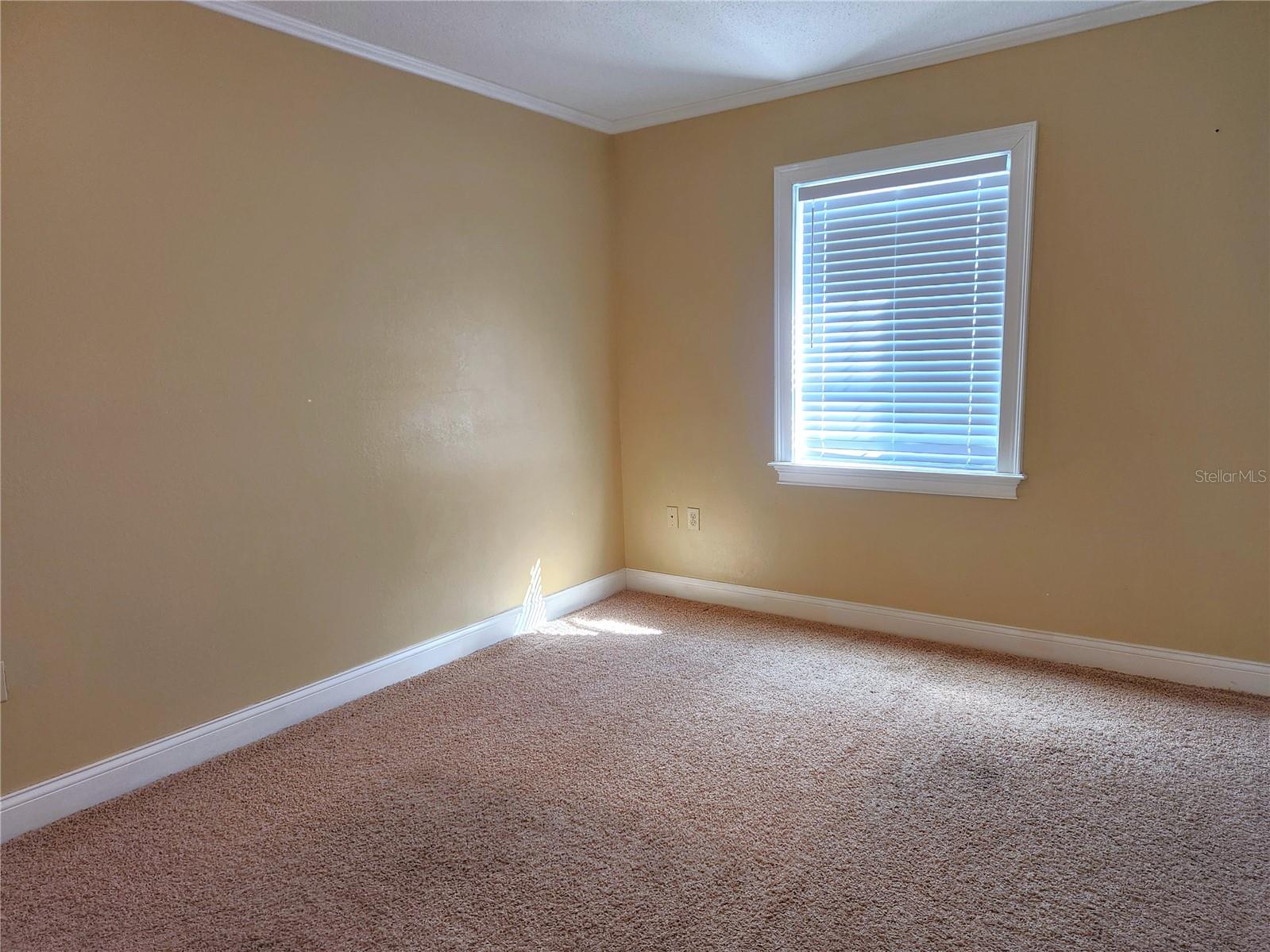 FORT KING FOREST - Residential