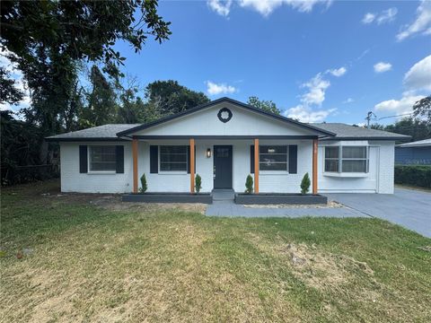 A home in MOUNT DORA