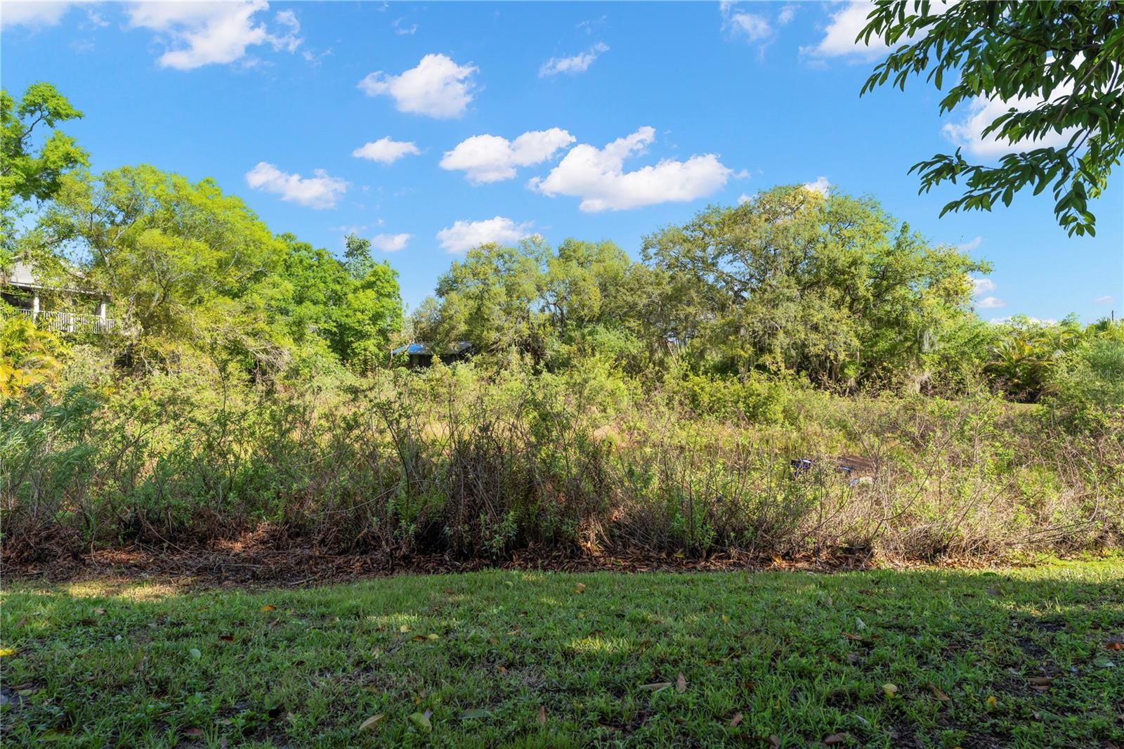 BRADEN RIVER OAKS - Residential