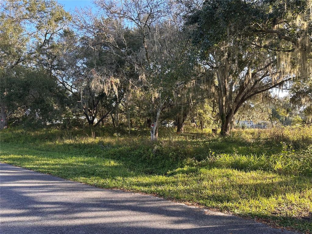 Photo of 4th Avenue, Kenansville, FL 34739 (MLS # S5140053)