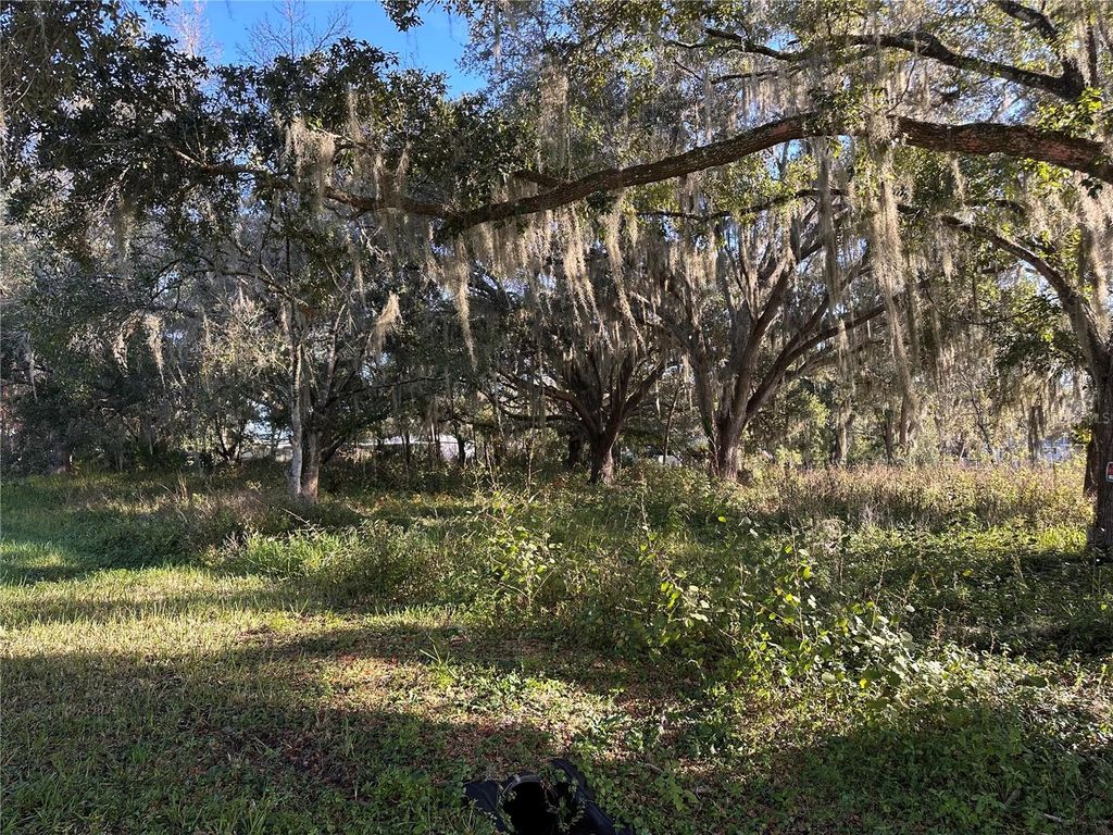 Photo of 4th Avenue, Kenansville, FL 34739 (MLS # S5140053)