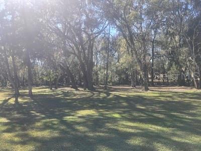 E242 FT OF N1/2 OF NW1/4 OF SW1/4 LESS N200 FT THE - Residential