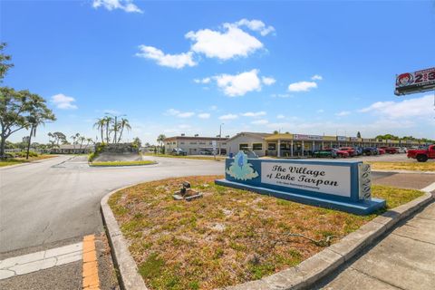 A home in PALM HARBOR