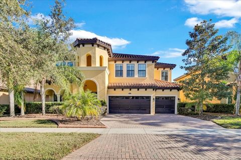 A home in LAND O LAKES