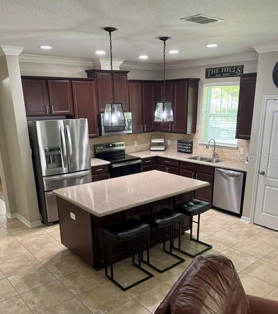 8221 NECTAR RIDGE COURT