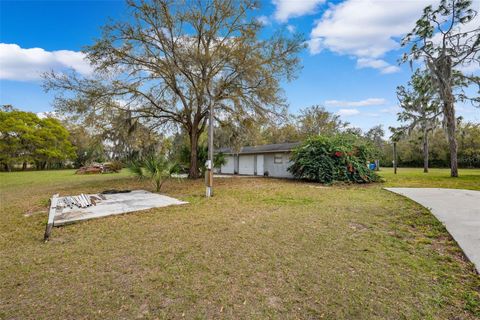 A home in LITHIA