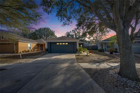 A home in SEFFNER