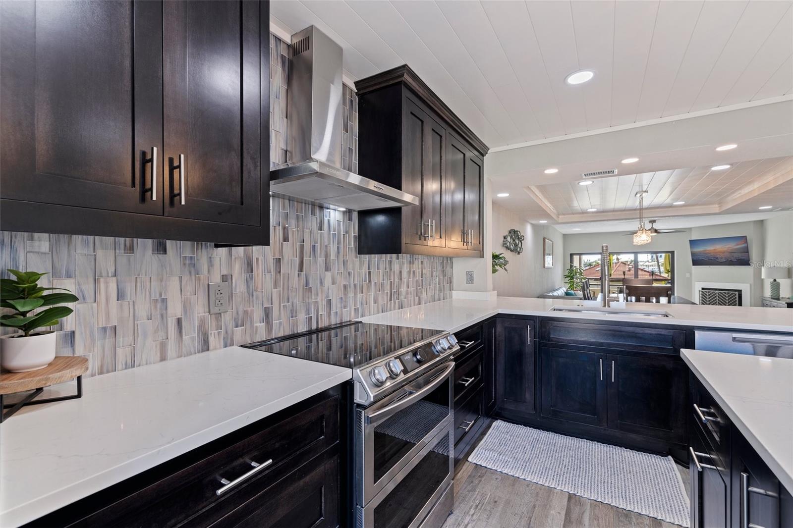 VILLAGE AT TIERRA VERDE CONDO - Residential
