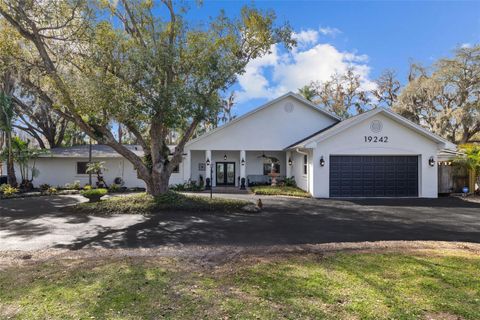 19242 BLOUNT ROAD LUTZ FL 33558