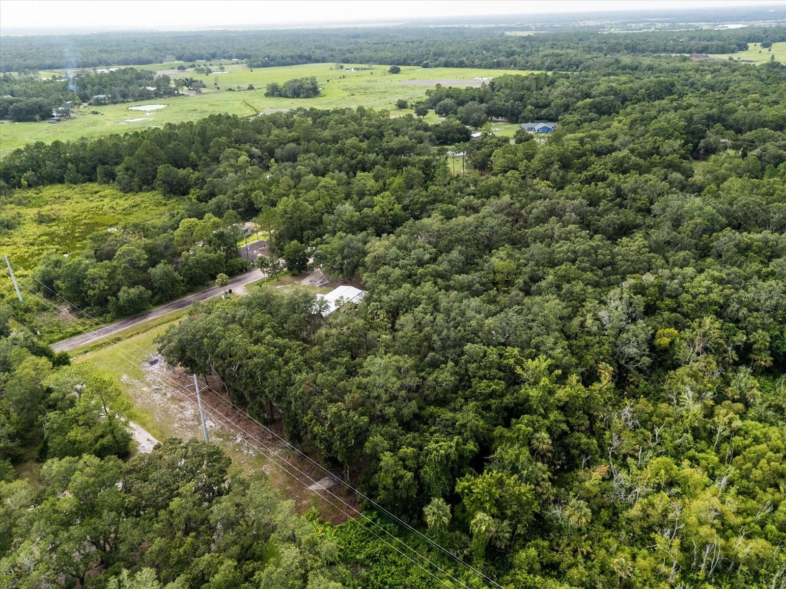 OSCEOLA ACRES 5 ACRE DEV - Residential