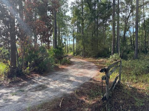 WILD ACRES TRAIL PAISLEY FL 32767
