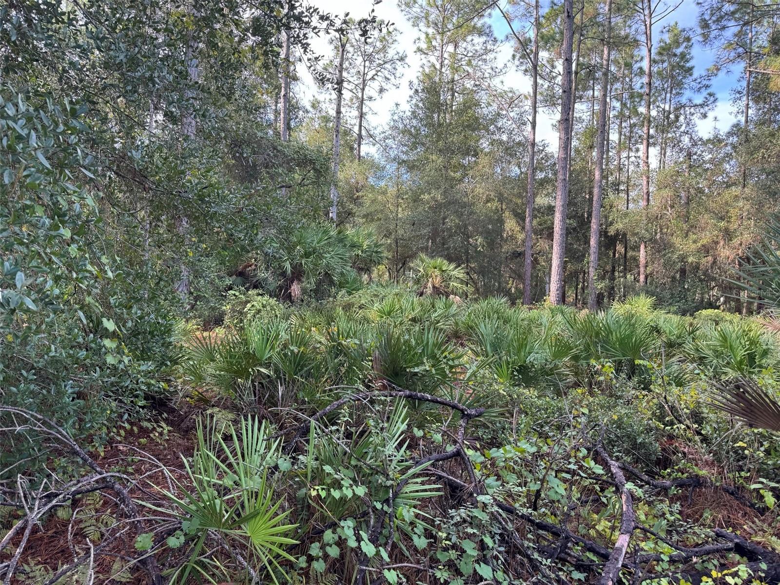 WILD ACRES TRAIL