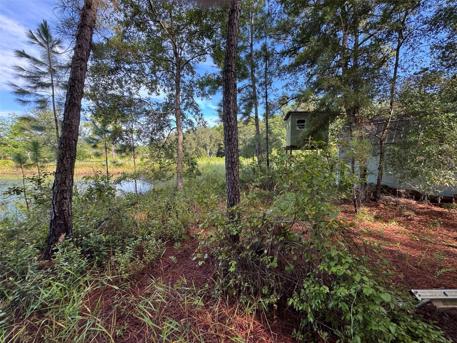 WILD ACRES TRAIL
