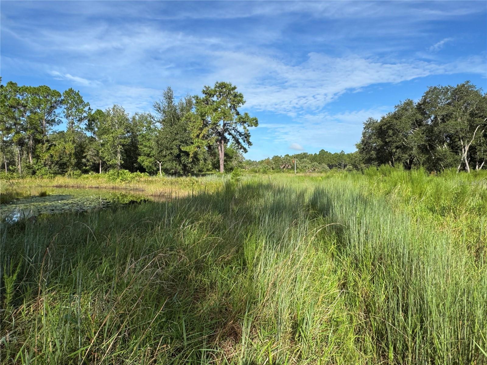 WILD ACRES TRAIL