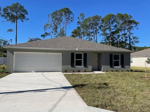 A home in PALM COAST