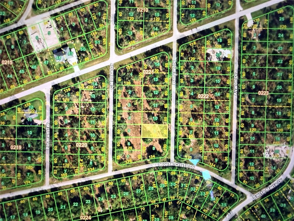 Photo of 13263 Banyan Drive, Punta Gorda, FL 33955 (MLS # C7517108)