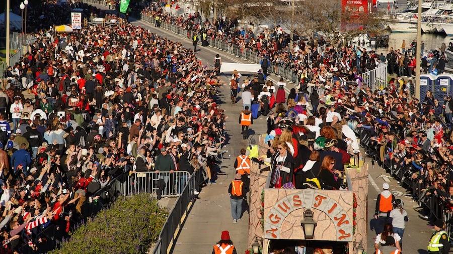 OAKELLARS - Residential