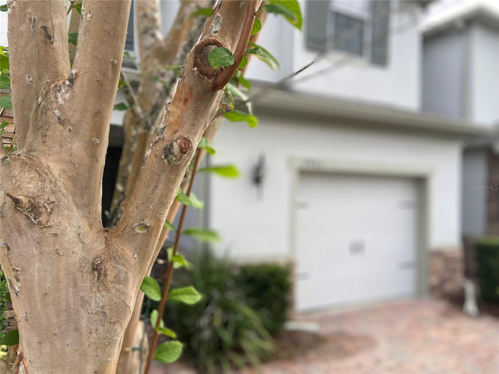 ALOMA TRAILS - Residential Lease