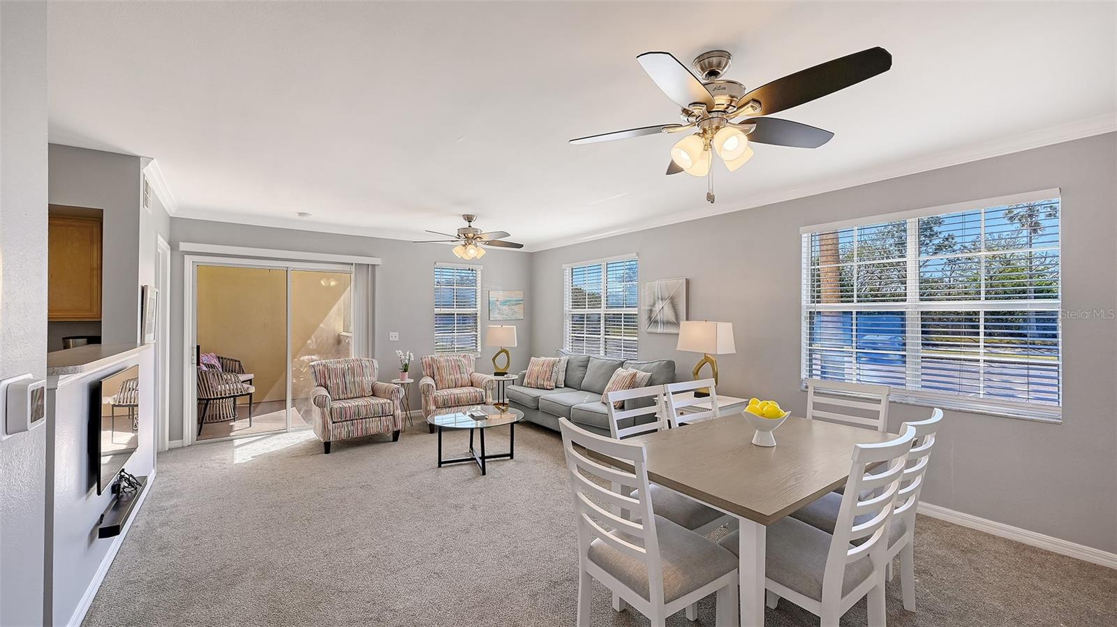 3005 CHIANTI COURT 101