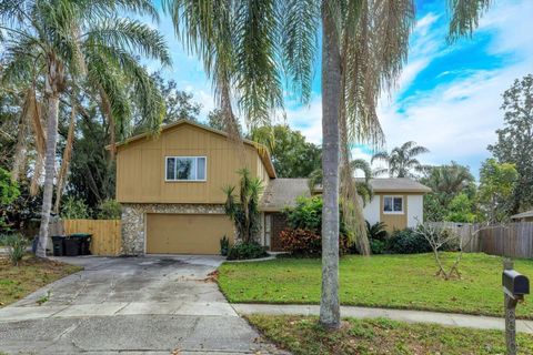 A home in ORLANDO