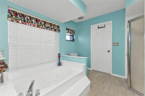 A home in PUNTA GORDA