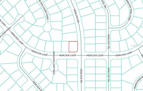 0 HEMLOCK LOOP OCALA FL 34472