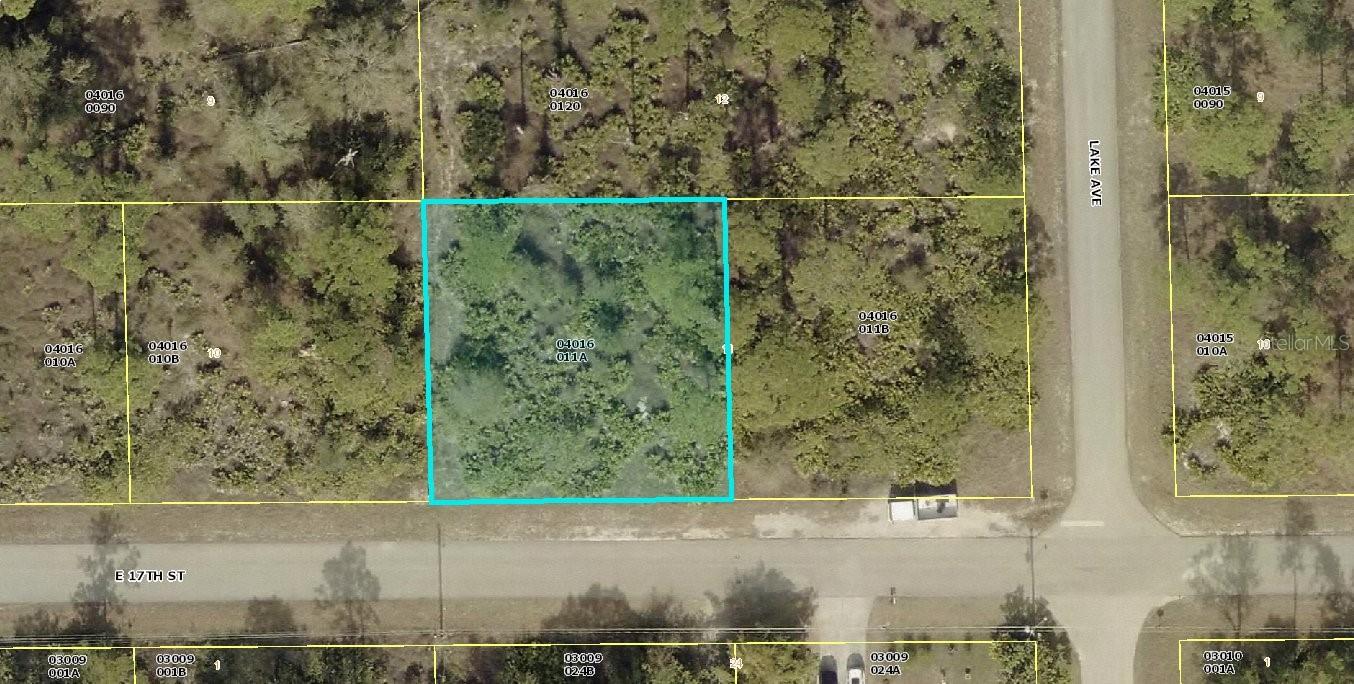 LOCATION! Check out this 0.25 acre lot an AMAZNG OPPORTUNITY In a growing area of Lehigh Acres! This lot is ready for your vision, BUILD YOUR DREAM HOME tailored to your own preference or Add to your INVESTMENT PORTFOLIO With power available and a home already across the street, this location offers a great balance of development and privacy. Located on a quite residential street, quick access to schools, parks, bars and a short drive to Fort Myers and Punta Gorda airports and Sanibel Beach.
DON'T MISS THIS GREAT OPPORTUNITY!
All dimensions approximate. All information deemed accurate, buyer and/or representative must do their own due diligence inspection and verify all information on this property.