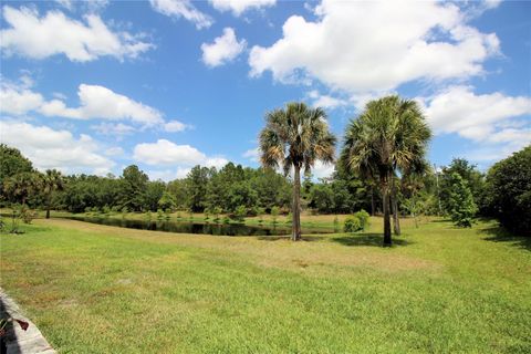 A home in DELAND