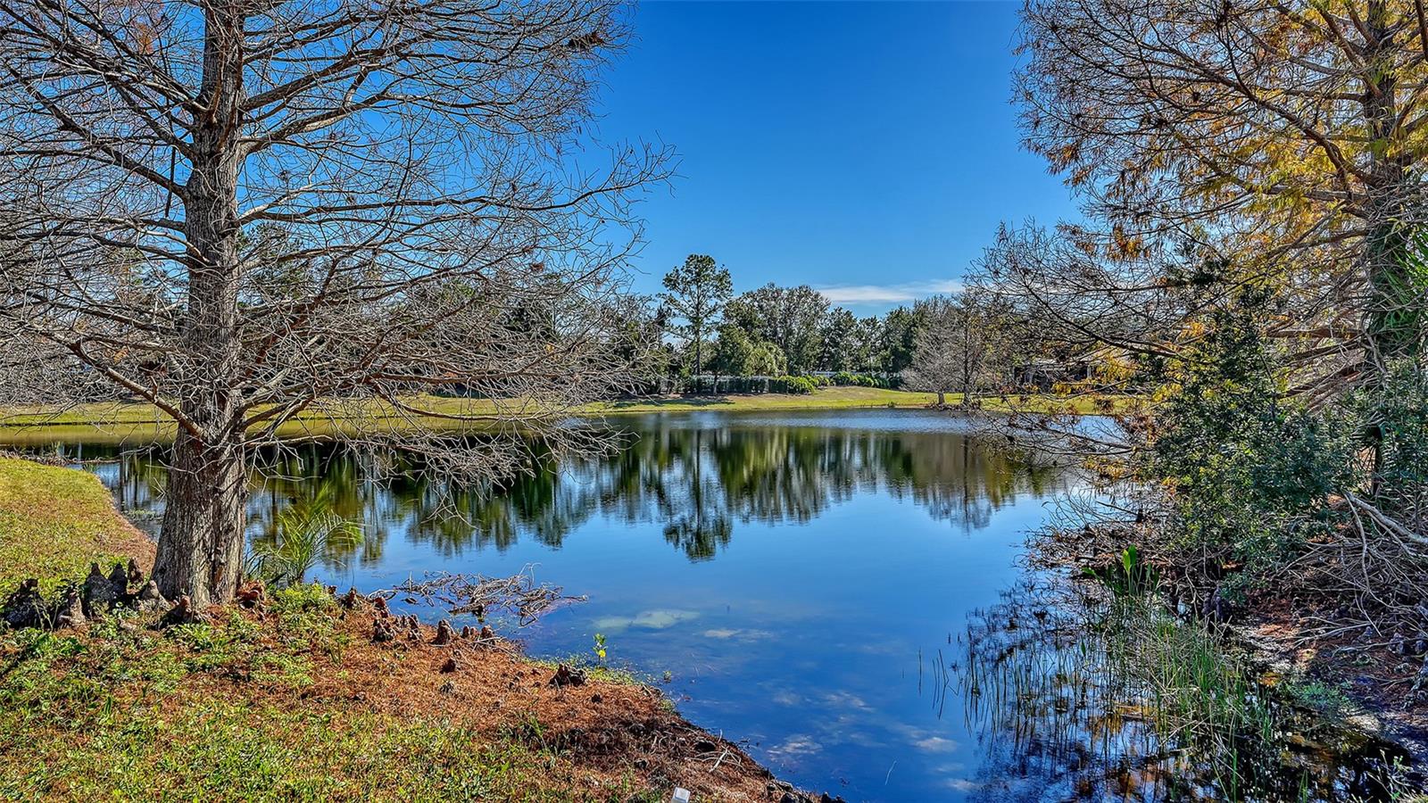 LAKEWOOD RANCH COUNTRY CLUB VILLAGE AA 1&2 - Residential