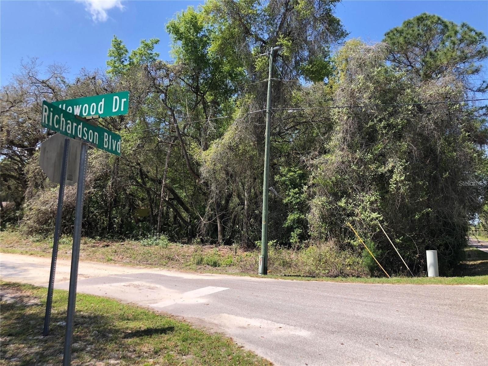 Corner residential vacant lot close to an acre (0.98) for sale located in a quiet community and a very nice lot to build your future dream home.