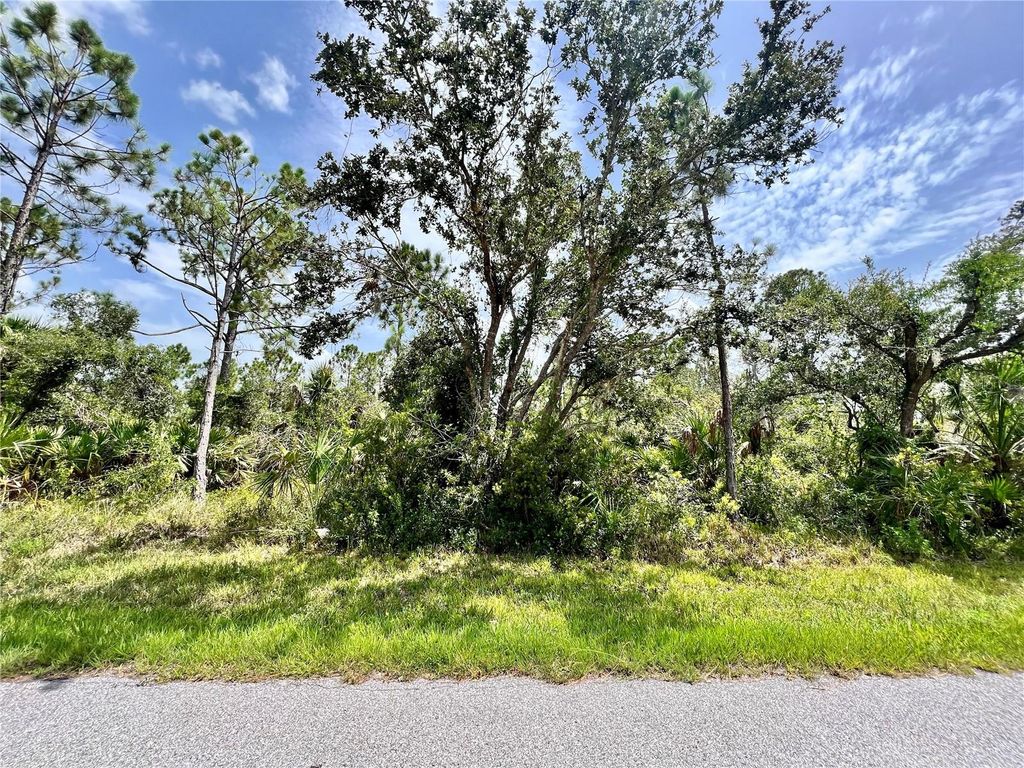 Photo of 13377 Johannes Avenue, Port Charlotte, FL 33953 (MLS # C7505961)