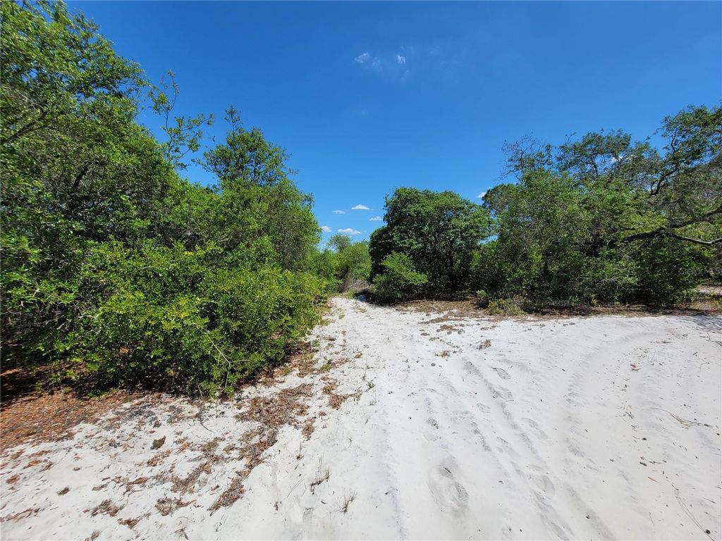 Photo of 433 Gloria Boulevard, Lake Placid, FL 33852 (MLS # A4687119)