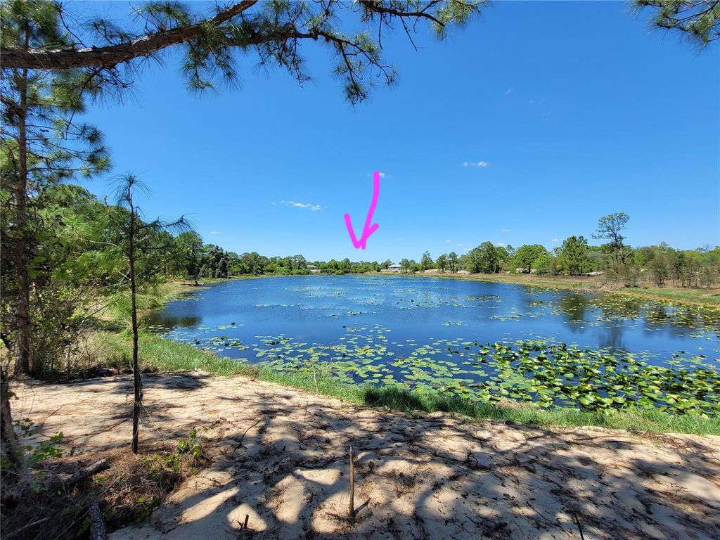 Photo of 433 Gloria Boulevard, Lake Placid, FL 33852 (MLS # A4687119)